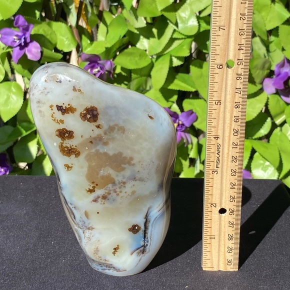 Dendritic Agate Freeform - Picture 15 of 16